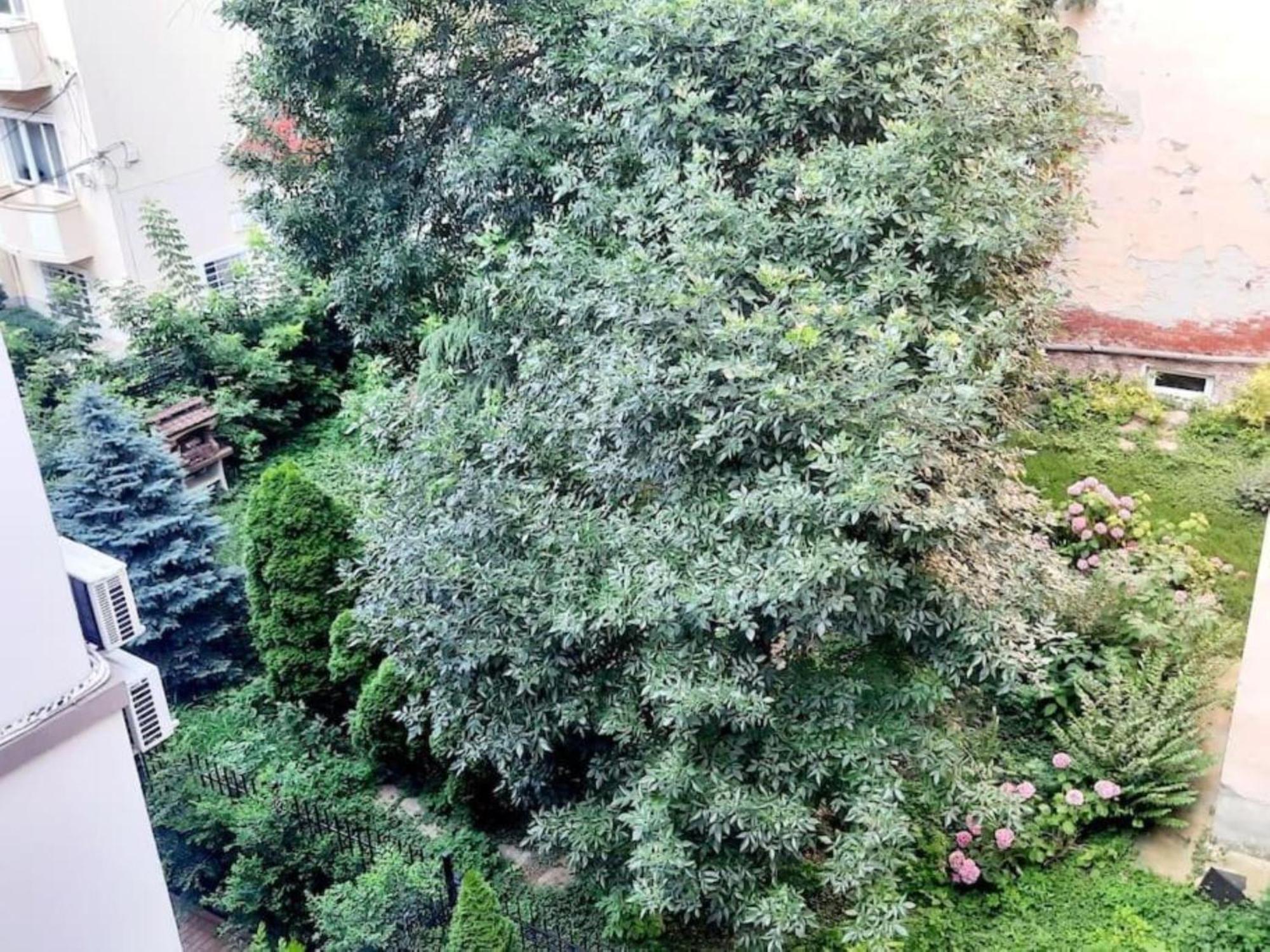 One Bedroom By The Park Old Town Belle Vue ทิมิชัวรา ภายนอก รูปภาพ